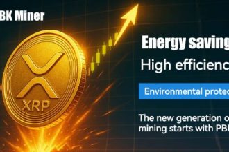 why-is-pbkminer's-xrp-mining-so-unique-and-leading?